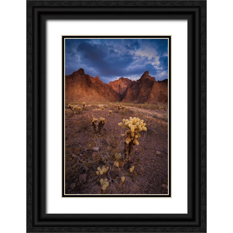 USA-Arizona-Kofa National Wildlife Area-Mountain and desert landscape Black Ornate Wood Framed Art Print with Double Matting by Jaynes Gallery