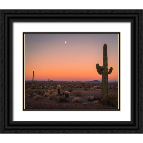 USA-Arizona-Kofa National Wildlife Area-Mountain and desert landscape at sunset Black Ornate Wood Framed Art Print with Double Matting by Jaynes Gallery