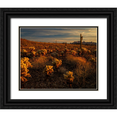 USA-Arizona-Kofa National Wildlife Area-Mountain and desert landscape at sunrise Black Ornate Wood Framed Art Print with Double Matting by Jaynes Gallery