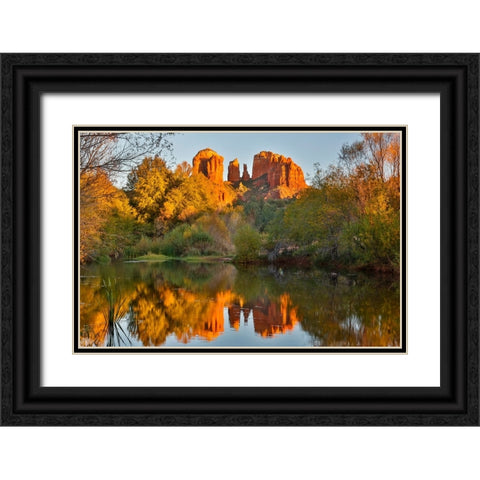 USA- Arizona. Red Rock State Park with Oak Creek and Cathedral Rock Black Ornate Wood Framed Art Print with Double Matting by Gulin, Darrell
