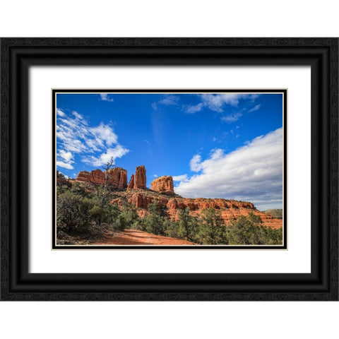 Sedona- Arizona. Cathedral Rock trailhead Black Ornate Wood Framed Art Print with Double Matting by Sienda, Jolly