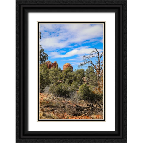 Sedona- Arizona- USA. Cathedral Rock- red rock formations Black Ornate Wood Framed Art Print with Double Matting by Sienda, Jolly