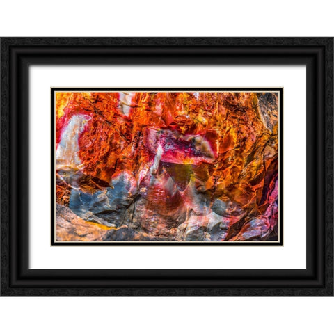 Red-orange and yellow petrified wood abstract-Blue Mesa-Petrified Forest National Park-Arizona Black Ornate Wood Framed Art Print with Double Matting by Perry, William