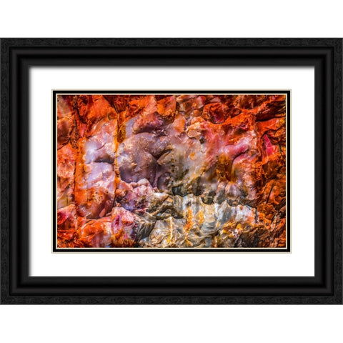 Red-orange and yellow petrified wood abstract-Blue Mesa-Petrified Forest National Park-Arizona Black Ornate Wood Framed Art Print with Double Matting by Perry, William