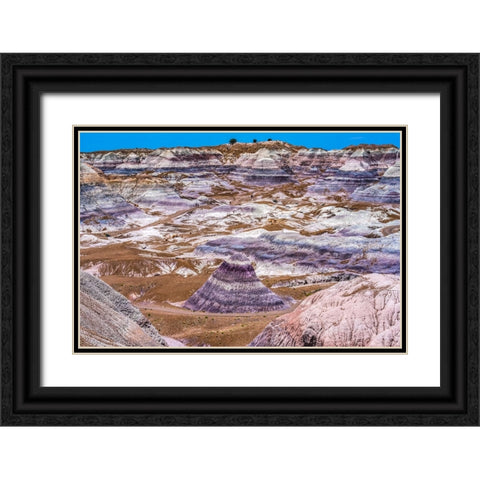 Hikers trail-Blue Mesa-Painted Desert-Petrified Forest National Park-Arizona Black Ornate Wood Framed Art Print with Double Matting by Perry, William