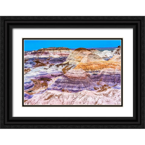Blue Mesa Trail-Painted Desert-Petrified Forest National Park-Arizona Black Ornate Wood Framed Art Print with Double Matting by Perry, William