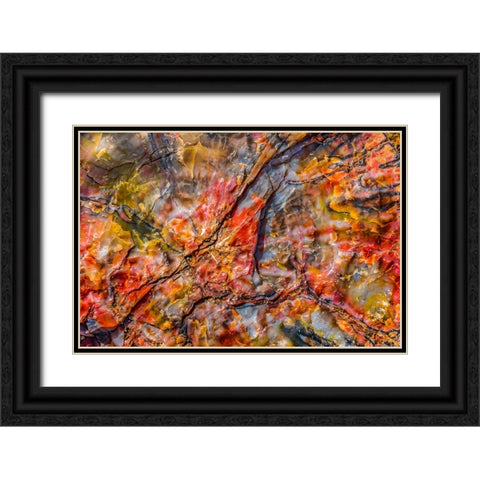 Red-blue-orange petrified wood-Visitor Center-Petrified Forest National Park-Arizona Black Ornate Wood Framed Art Print with Double Matting by Perry, William