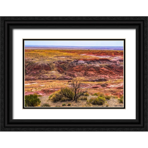 Tawa Point-Painted Desert-Petrified Forest National Park-Arizona Black Ornate Wood Framed Art Print with Double Matting by Perry, William