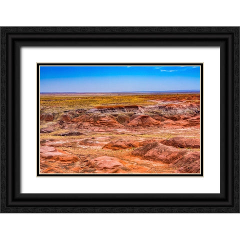 Tawa Point-Painted Desert-Petrified Forest National Park-Arizona Black Ornate Wood Framed Art Print with Double Matting by Perry, William