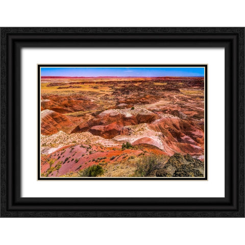 Tawa Point-Painted Desert-Petrified Forest National Park-Arizona Black Ornate Wood Framed Art Print with Double Matting by Perry, William