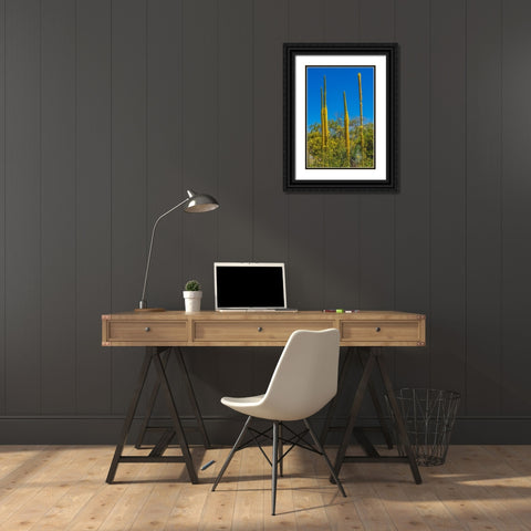 Thread Agaves blooming- Desert Botanical Garden- Phoenix- Arizona. Black Ornate Wood Framed Art Print with Double Matting by Perry, William
