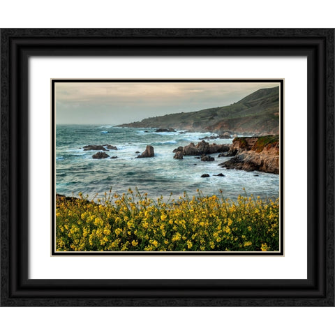 USA-California-Big Sur Dusk and mustard plants at Soberanes Cove Black Ornate Wood Framed Art Print with Double Matting by Collins, Ann