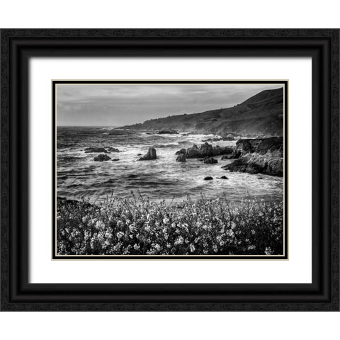 USA-California-Big Sur Dusk and mustard plants at Soberanes Cove Black Ornate Wood Framed Art Print with Double Matting by Collins, Ann