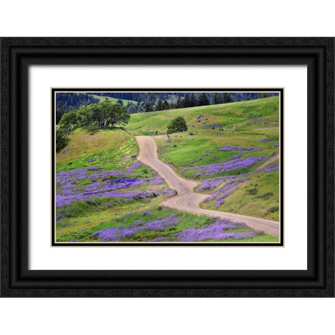 Bald Hills Road through lupine flowers-California Black Ornate Wood Framed Art Print with Double Matting by Jones, Adam