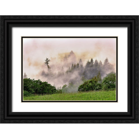 Hillside of evergreen trees among fog-Bald Hills Road-California Black Ornate Wood Framed Art Print with Double Matting by Jones, Adam
