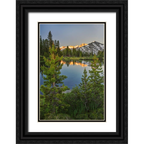 Alpine tarn-Tuolumne Meadows sunrise-Yosemite National Park-California Black Ornate Wood Framed Art Print with Double Matting by Jones, Adam