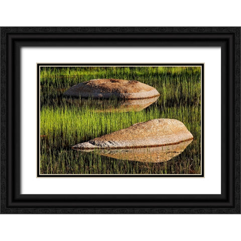 Rocks and grass at first light-Tuolumne Meadows-Yosemite National Park-California Black Ornate Wood Framed Art Print with Double Matting by Jones, Adam