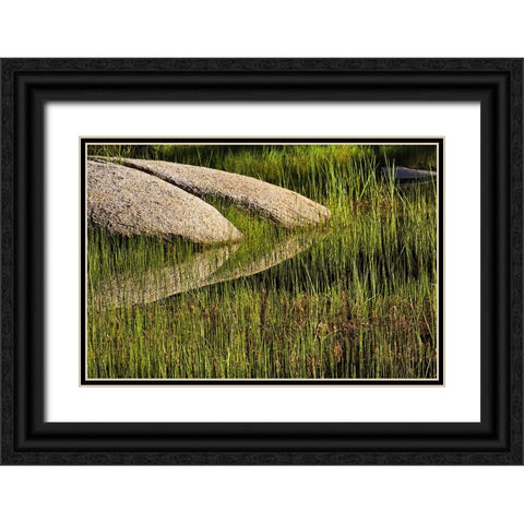 Rocks and grass at first light-Tuolumne Meadows-Yosemite National Park-California Black Ornate Wood Framed Art Print with Double Matting by Jones, Adam