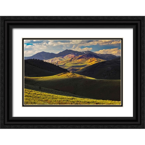 View of meadow in the White Mountains at sunset-Inyo National Forest-California Black Ornate Wood Framed Art Print with Double Matting by Jones, Adam