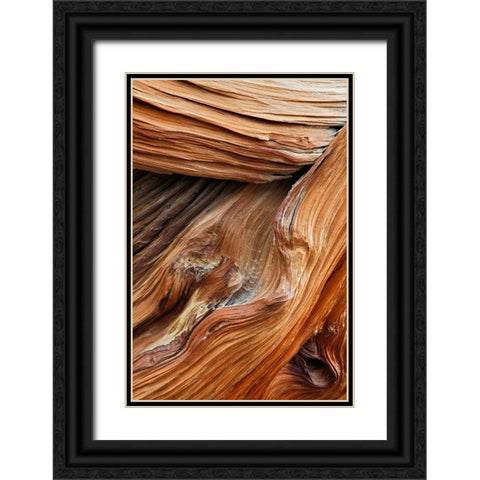 Pattern in wood of Bristlecone pine-White Mountains-Inyo National Forest-California Black Ornate Wood Framed Art Print with Double Matting by Jones, Adam