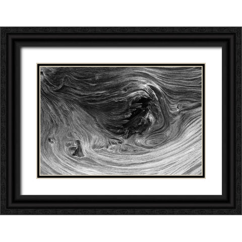Pattern in wood of Bristlecone pine-White Mountains-Inyo National Forest-California Black Ornate Wood Framed Art Print with Double Matting by Jones, Adam