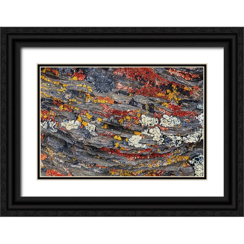 Colorful red and yellow lichens on rocks-eastern Sierra Range-California Black Ornate Wood Framed Art Print with Double Matting by Jones, Adam