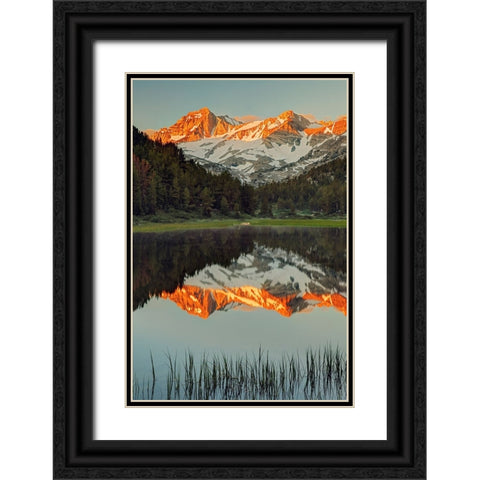 Alpine tarn-Tuolumne Meadows sunrise-Yosemite National Park-California Black Ornate Wood Framed Art Print with Double Matting by Jones, Adam