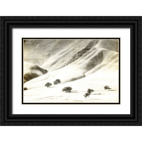 Usa-California Oak trees and hills of the Coast Range south of Salinas-California Black Ornate Wood Framed Art Print with Double Matting by Sederquist, Betty