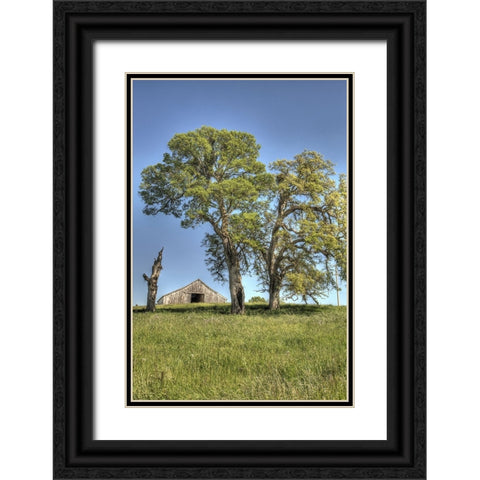 Usa-California Peaceful rural setting near Folsom Suburban sprawl is only a few miles away Black Ornate Wood Framed Art Print with Double Matting by Sederquist, Betty