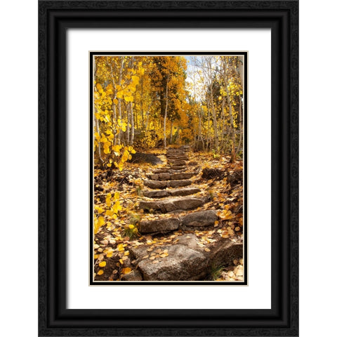 These stone stairs behind Sorensens Resort (now Wylder Hotel) Black Ornate Wood Framed Art Print with Double Matting by Sederquist, Betty