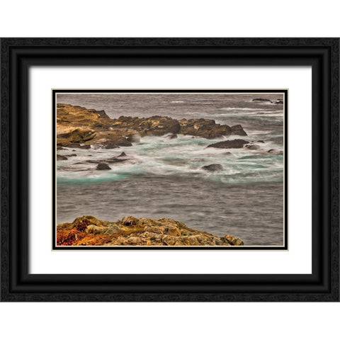Point Lobos-Carmel-California Black Ornate Wood Framed Art Print with Double Matting by Ford, John