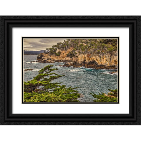 Point Lobos-Carmel-California Black Ornate Wood Framed Art Print with Double Matting by Ford, John
