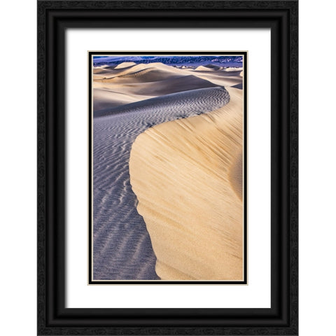 Mesquite Dunes-Death Valley National Park-California Black Ornate Wood Framed Art Print with Double Matting by Ford, John