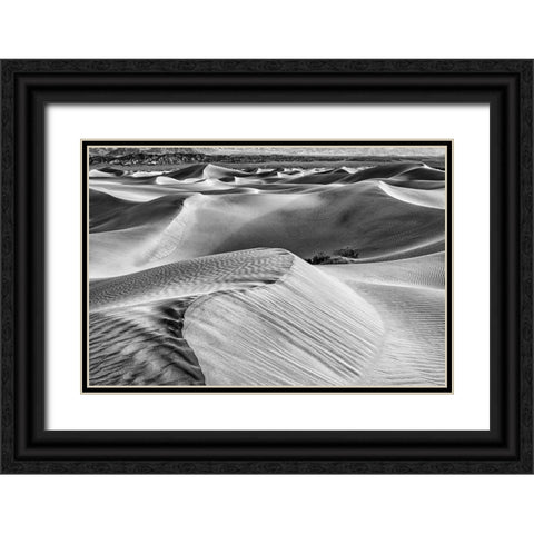 Mesquite Dunes-Death Valley National Park-California Black Ornate Wood Framed Art Print with Double Matting by Ford, John
