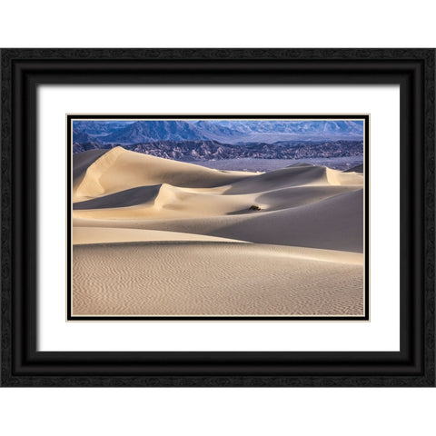 Mesquite Dunes-Death Valley National Park-California Black Ornate Wood Framed Art Print with Double Matting by Ford, John