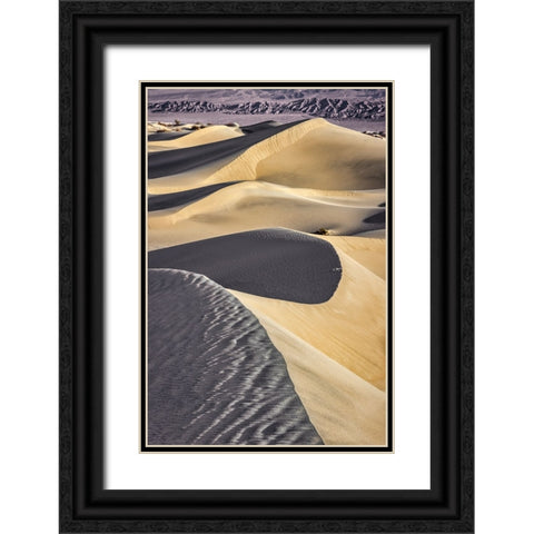 Mesquite Dunes-Death Valley National Park-California Black Ornate Wood Framed Art Print with Double Matting by Ford, John