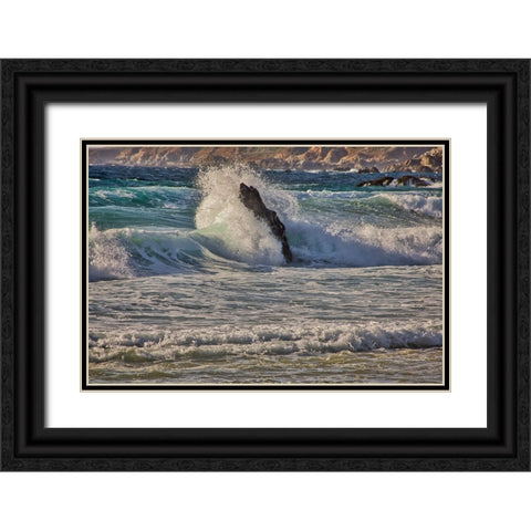 Garapata Beach-Carmel by the Sea-California Black Ornate Wood Framed Art Print with Double Matting by Ford, John