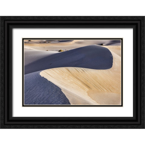 Mesquite Dunes-Death Valley National Park-California Black Ornate Wood Framed Art Print with Double Matting by Ford, John