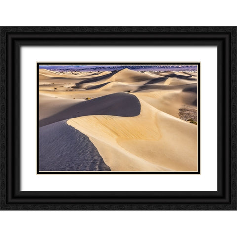 Mesquite Dunes-Death Valley National Park-California Black Ornate Wood Framed Art Print with Double Matting by Ford, John