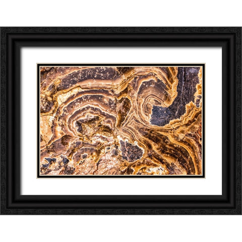 Marble Abstract-Titus Canyon-Death Valley Black Ornate Wood Framed Art Print with Double Matting by Ford, John