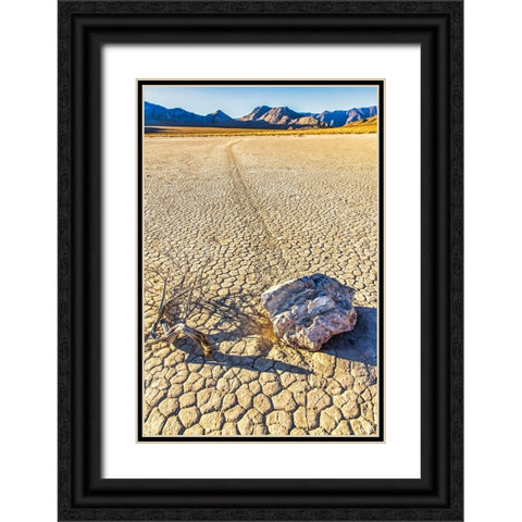 Race Track Rocks-Death Valley-California Black Ornate Wood Framed Art Print with Double Matting by Ford, John
