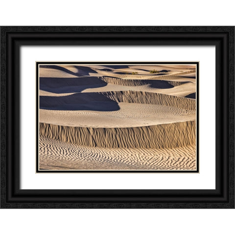 Mesquite Dunes-Death Valley National Park-California Black Ornate Wood Framed Art Print with Double Matting by Ford, John