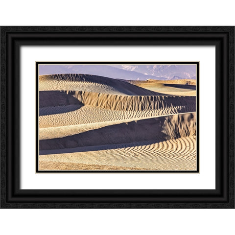 Mesquite Dunes-Death Valley National Park-California Black Ornate Wood Framed Art Print with Double Matting by Ford, John