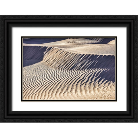 Mesquite Dunes-Death Valley National Park-California Black Ornate Wood Framed Art Print with Double Matting by Ford, John