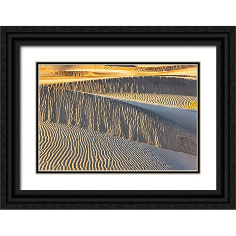Mesquite Dunes-Death Valley National Park-California Black Ornate Wood Framed Art Print with Double Matting by Ford, John