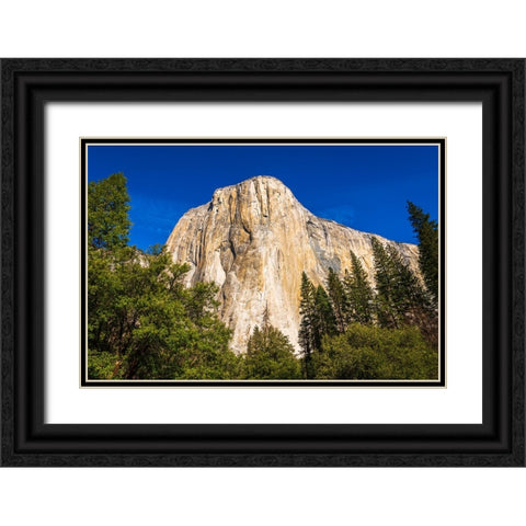 El Capitan-Yosemite Valley-Yosemite National Park-California-USA Black Ornate Wood Framed Art Print with Double Matting by Bishop, Russ
