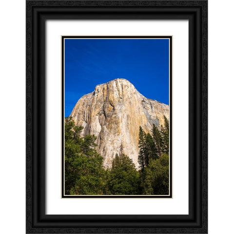 El Capitan-Yosemite Valley-Yosemite National Park-California-USA Black Ornate Wood Framed Art Print with Double Matting by Bishop, Russ