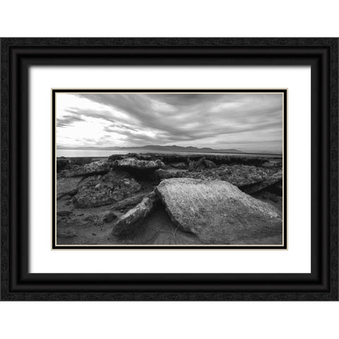 Salton Sea- Imperial Valley- California Black Ornate Wood Framed Art Print with Double Matting by Muench, Zandria