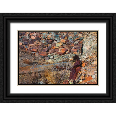 Brooklyn Mine Road- Old Dale Mining District- Mojave Desert- California Black Ornate Wood Framed Art Print with Double Matting by Muench, Zandria