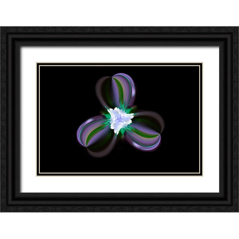 Columbine Flower-Colorado Black Ornate Wood Framed Art Print with Double Matting by Jones, Adam